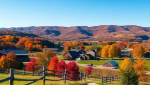 Clarksburg showing scenic landscape with vibrant fall foliage and quaint architecture.